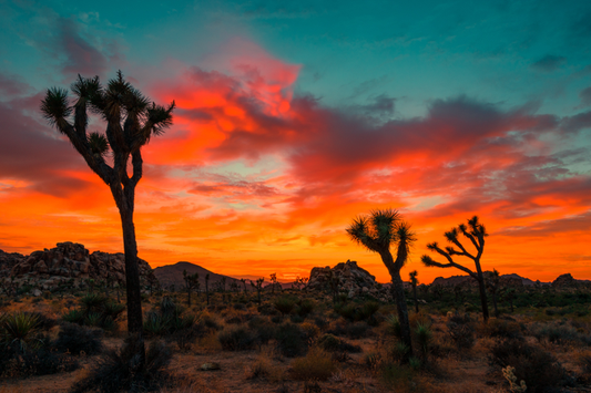 Everything You Need to Know About the Summer Solstice