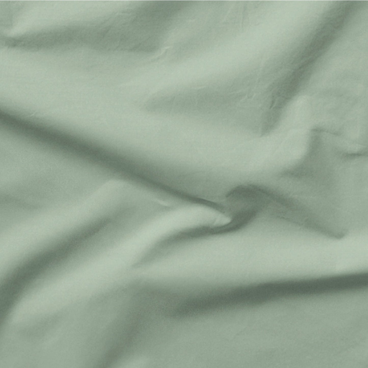 The Tuft and Needle Classic Percale Sheet Set, one sheet spread out || color: Sage
